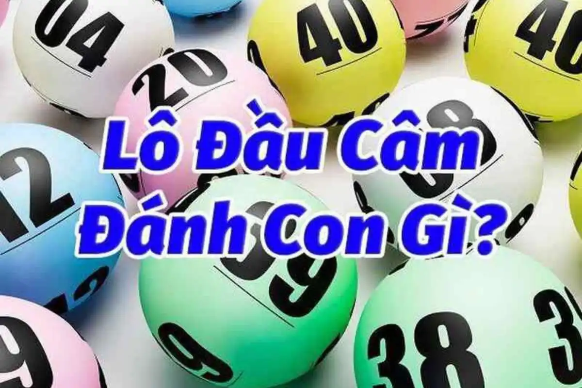 lô đầu câm
